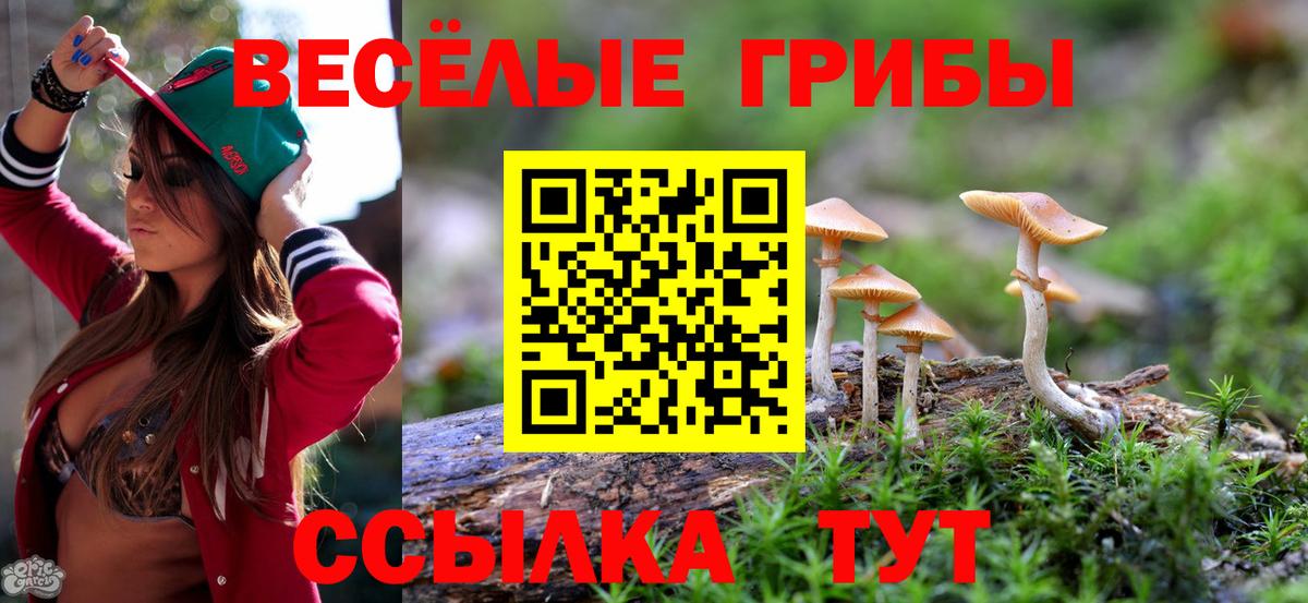 Новокубанск  Псилоцибиновые грибы прущие грибы  Галлюциногенные грибы ЛСД  Вход с VPN 