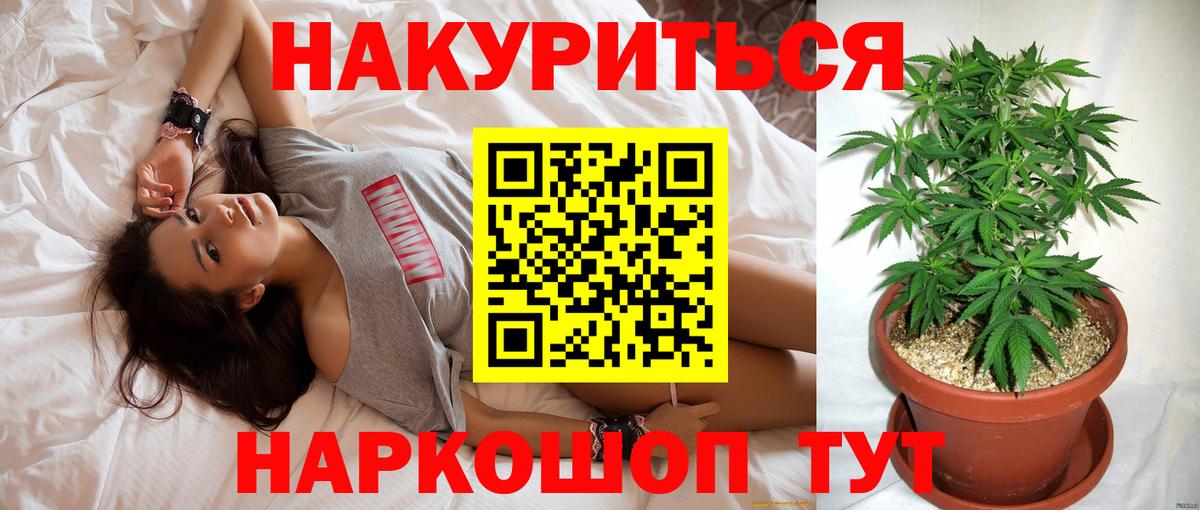 Бошки Шишки MAZAR Новокубанск